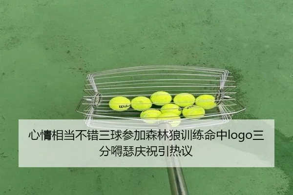 心情相当不错三球参加森林狼训练命中logo三分嘚瑟庆祝引热议